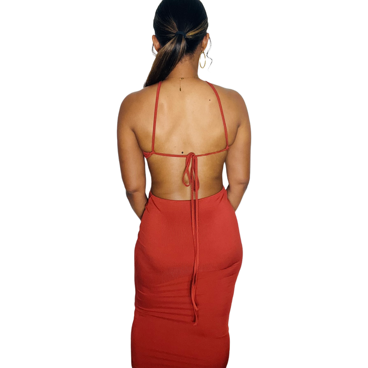 Janet Backless Halter Dress (Brown)